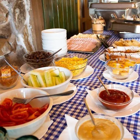 Hotel-europenzion Salas 3* Vinne