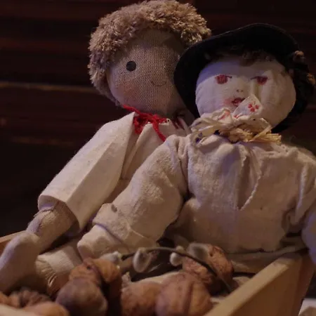 Hotel-europenzion Salas Vinne