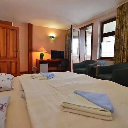 Hotel-europenzion Salas 3*