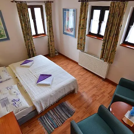 Hotel-europenzion Salas فندق